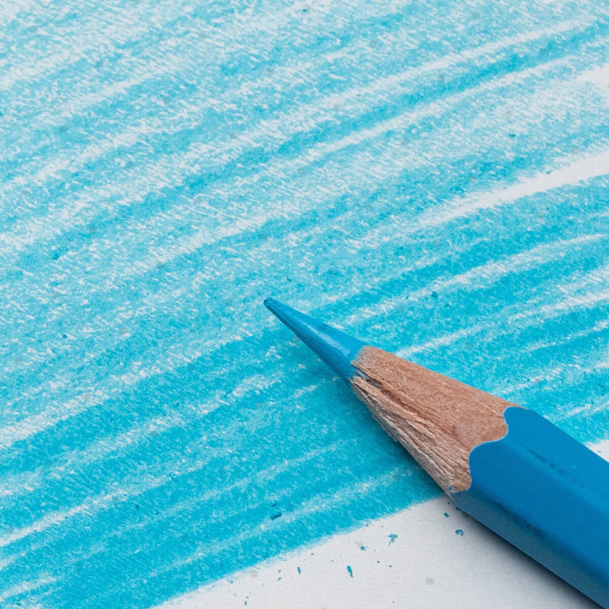 Blackwing Blue Coloured Pencil (Single) by Blackwing