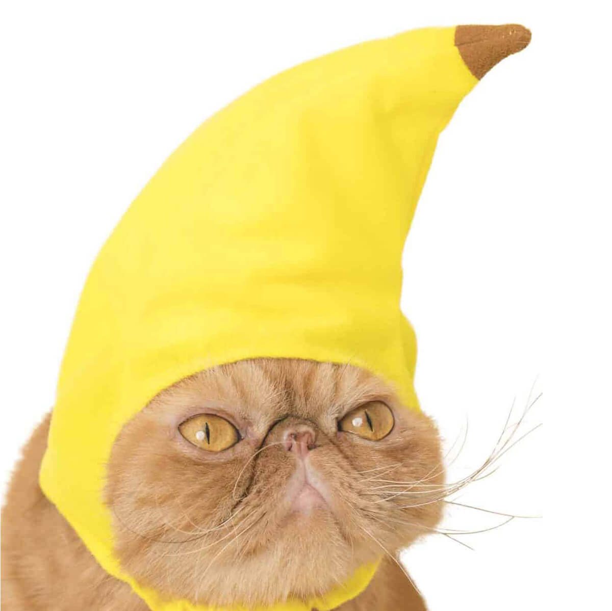 Cat Cap Fruit Blind Box by Kitan Club