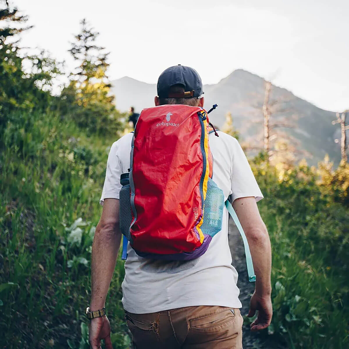 Batac 16L Backpack in Del Día by Cotopaxi