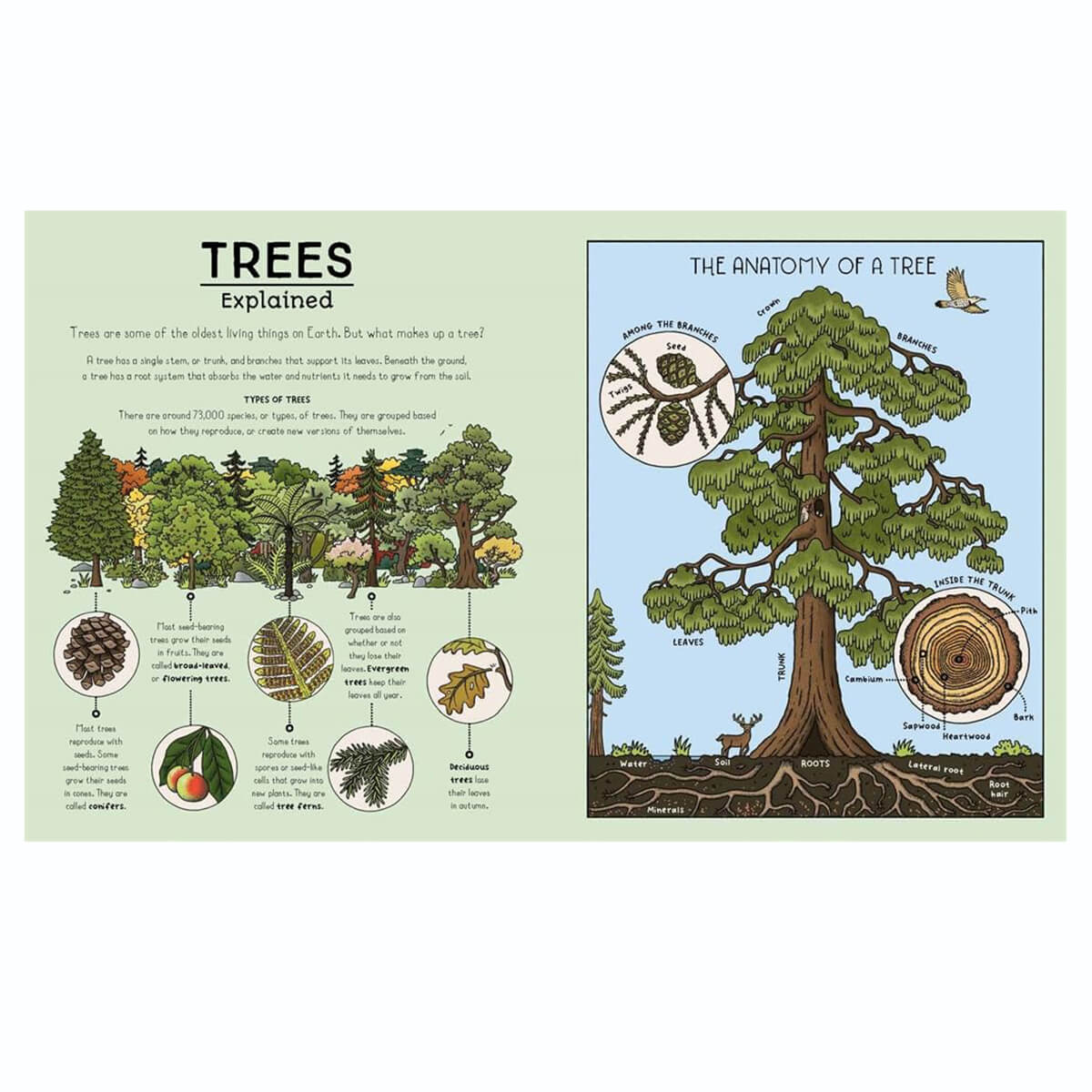 Nature Explained: A Family Guide to 20 Nature Cycles by Helen Brown & Claire Scully