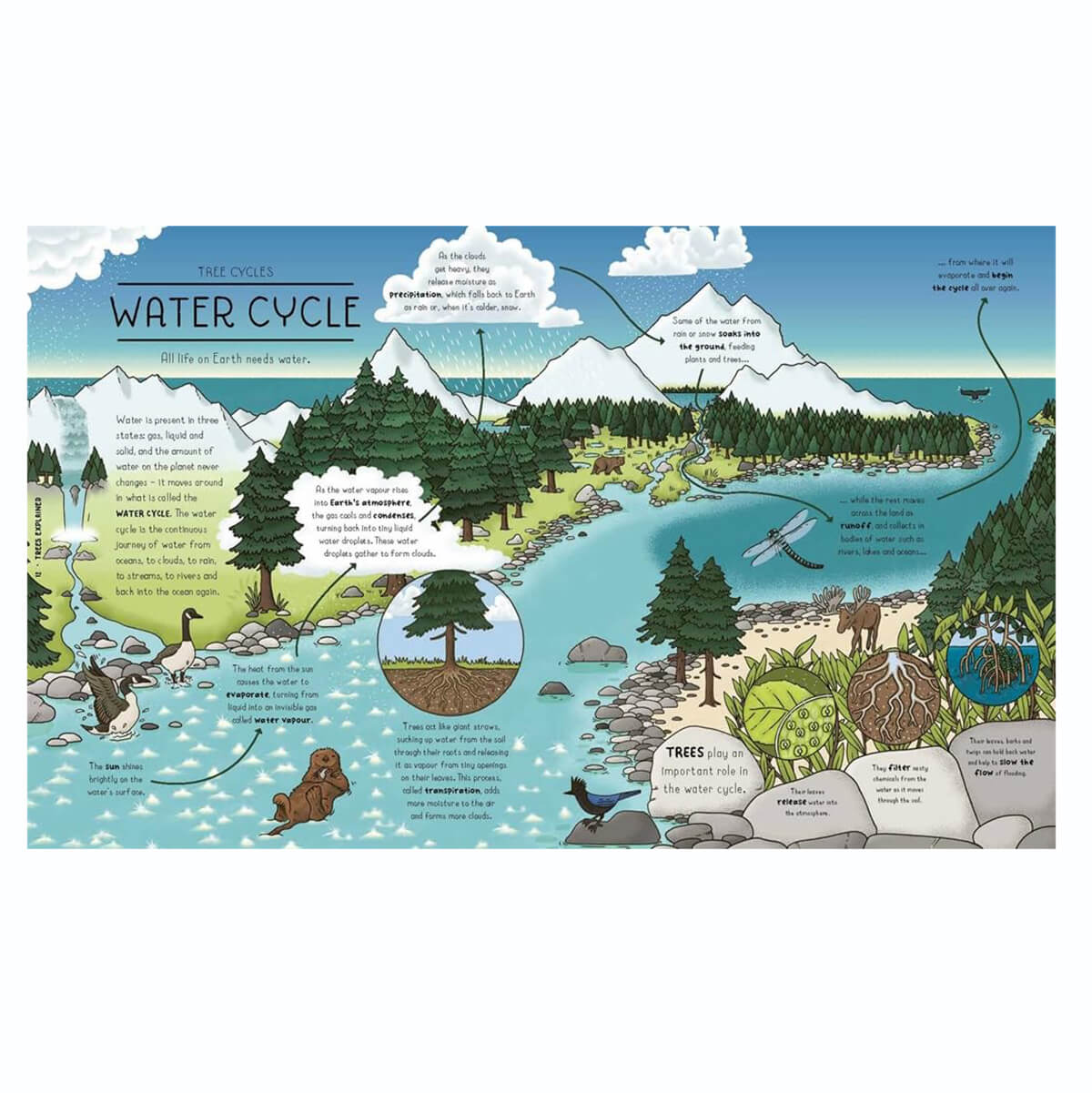 Nature Explained: A Family Guide to 20 Nature Cycles by Helen Brown & Claire Scully