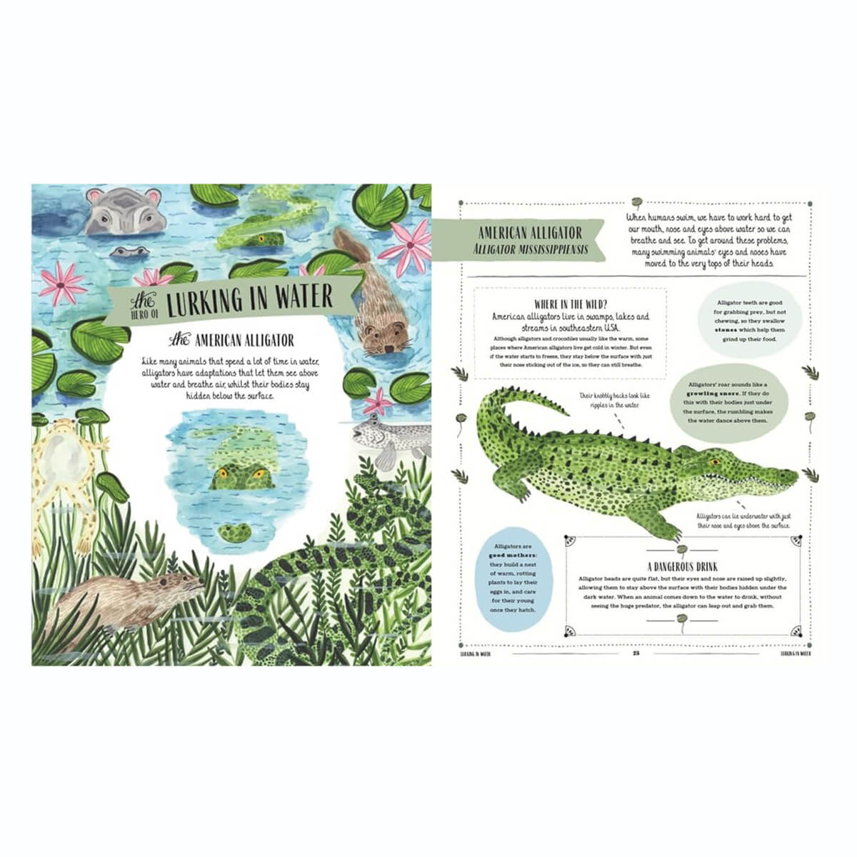 Wild: A Child's Guide to the Animal Kingdom by Jack Ashby & Sara Boccaccini Meadows