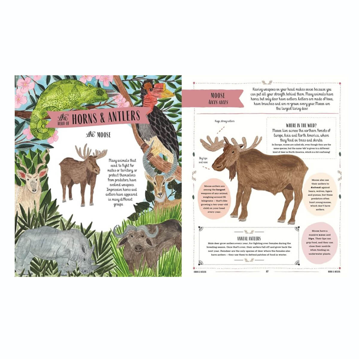 Wild: A Child's Guide to the Animal Kingdom by Jack Ashby & Sara Boccaccini Meadows