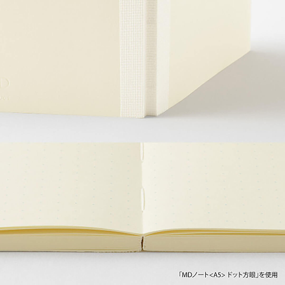 MD Slim B6 Dot Grid Notebook by Midori