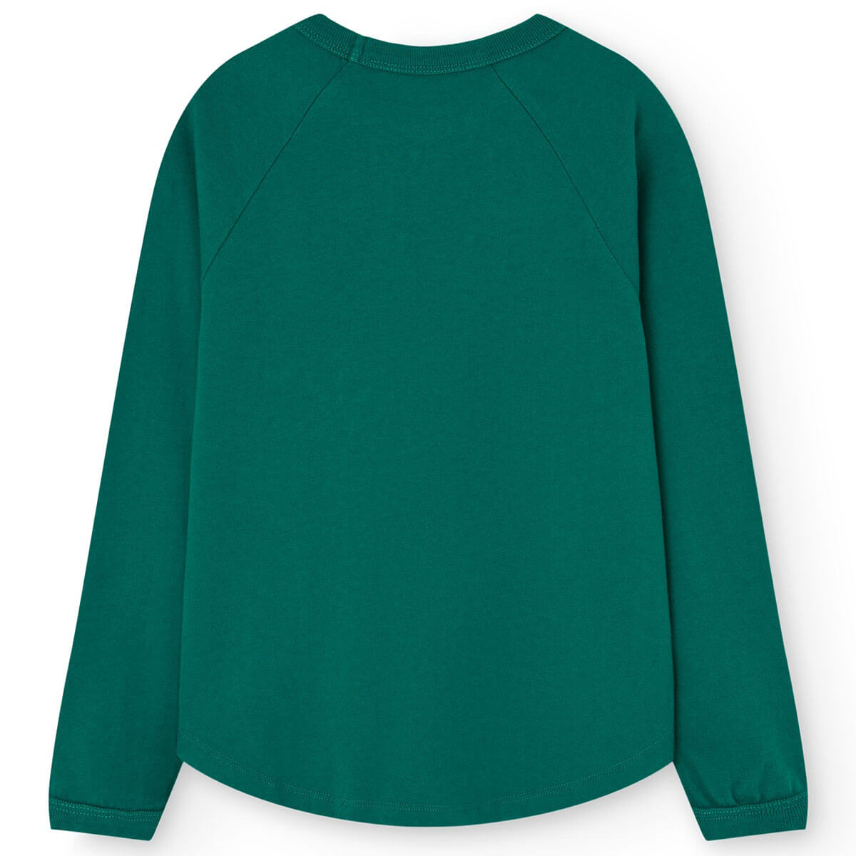 Anteater Kid Long Sleeve T-Shirt in Dark Green by The Animals Observatory
