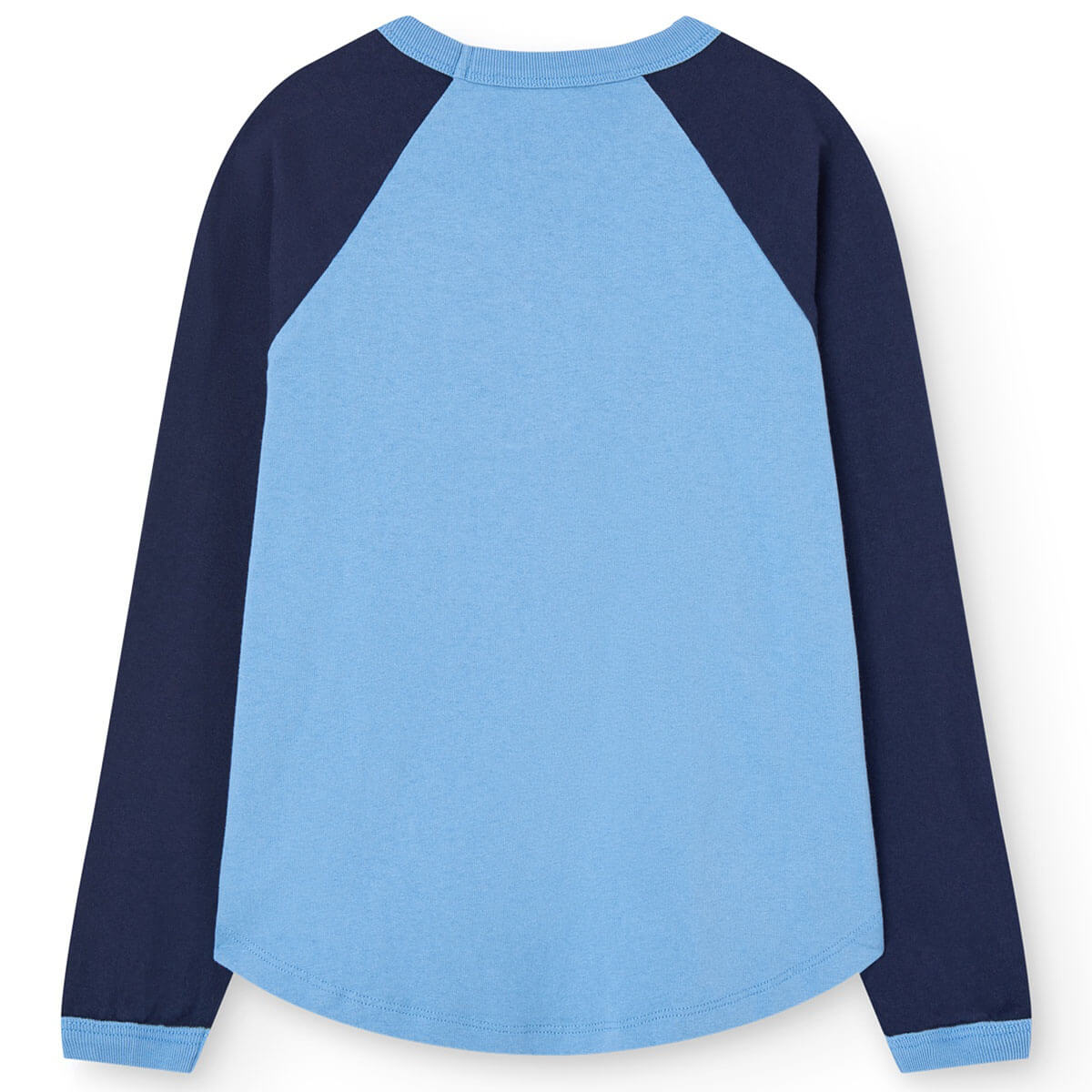 Anteater Kid Long Sleeve T-Shirt in Dusty Blue by The Animals Observatory