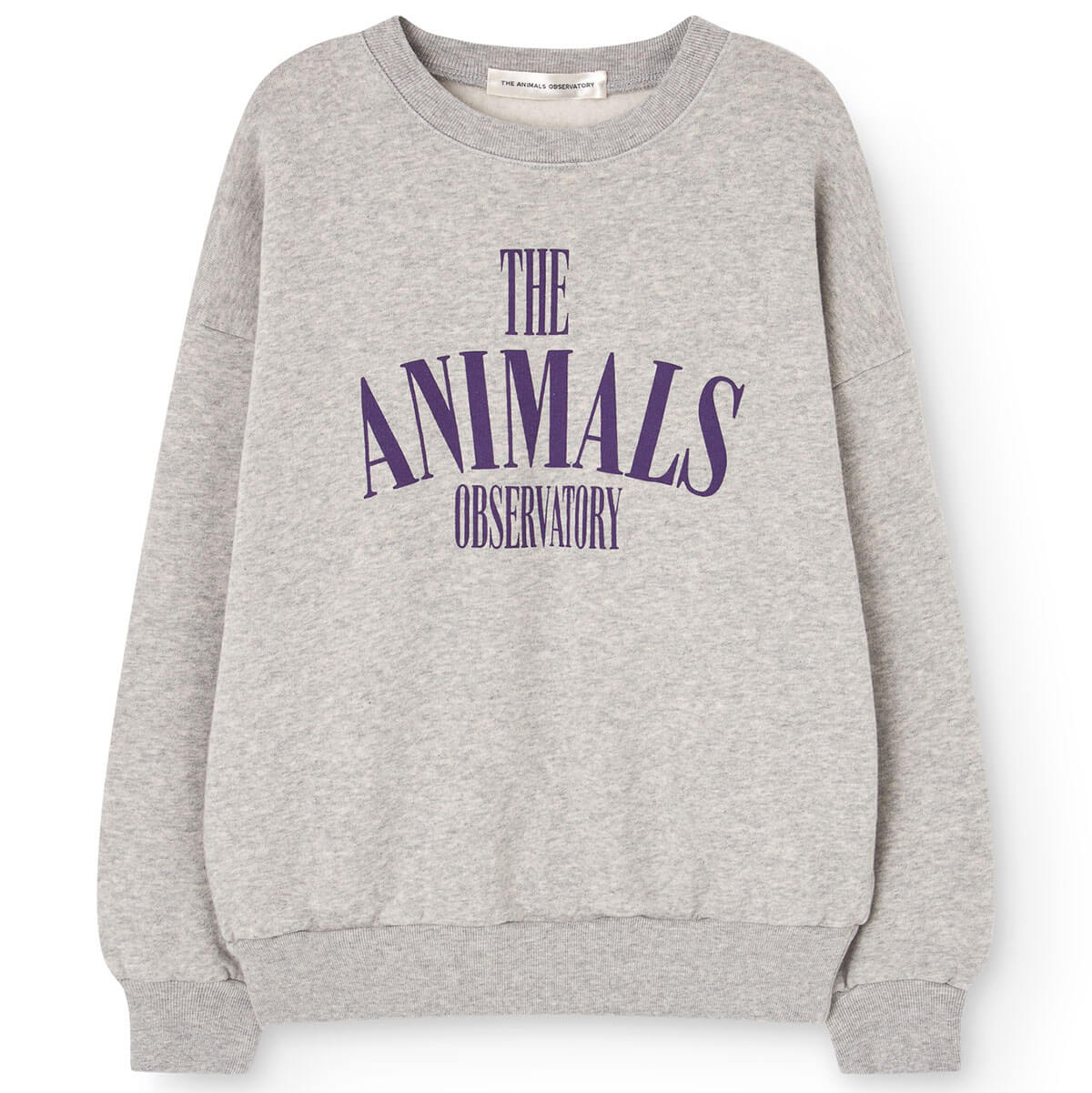 Killifish Warm Kid Sweatshirt in Heather Grey by The Animals Observatory