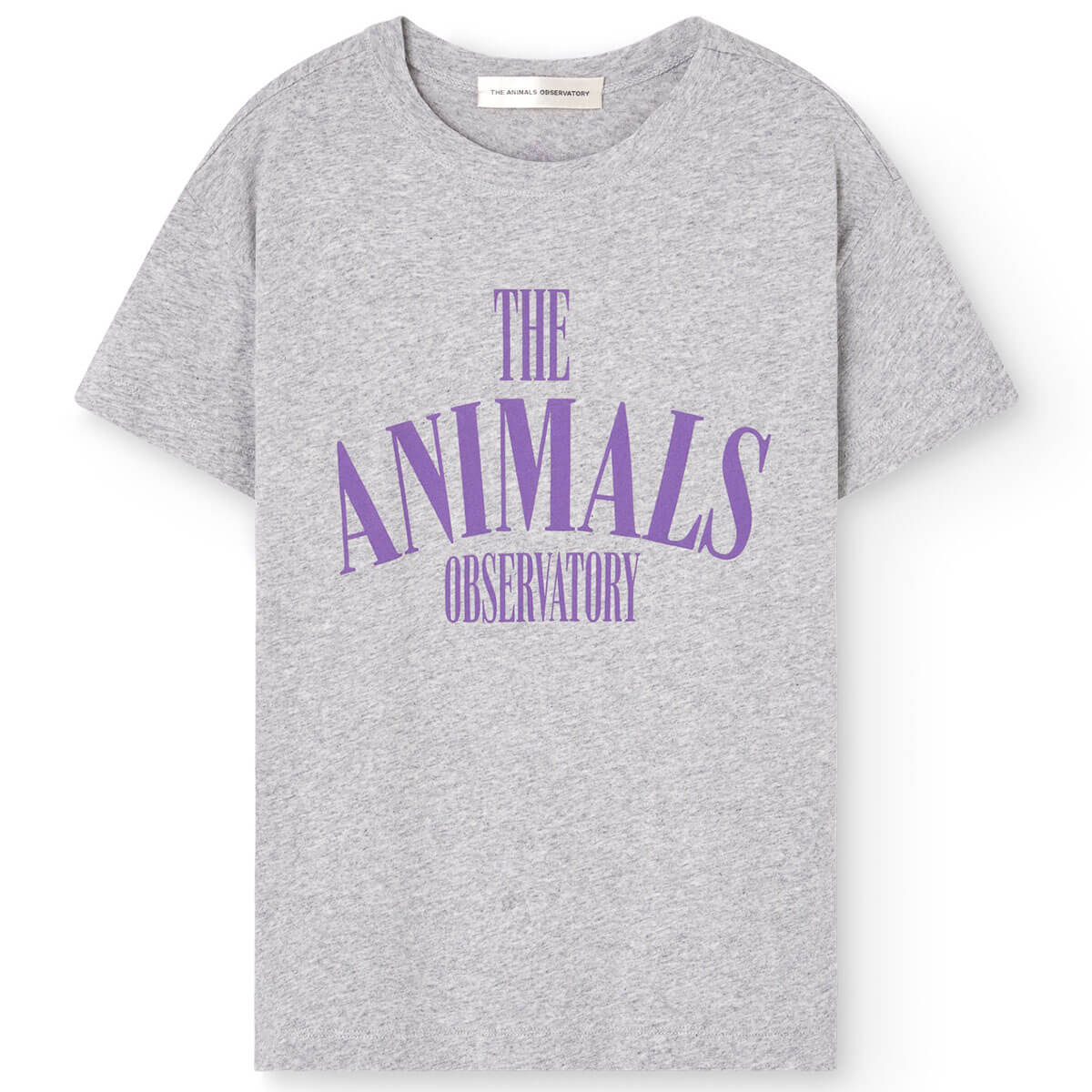 Pupfish Kid T-Shirt in Grey Heather by The Animals Observatory