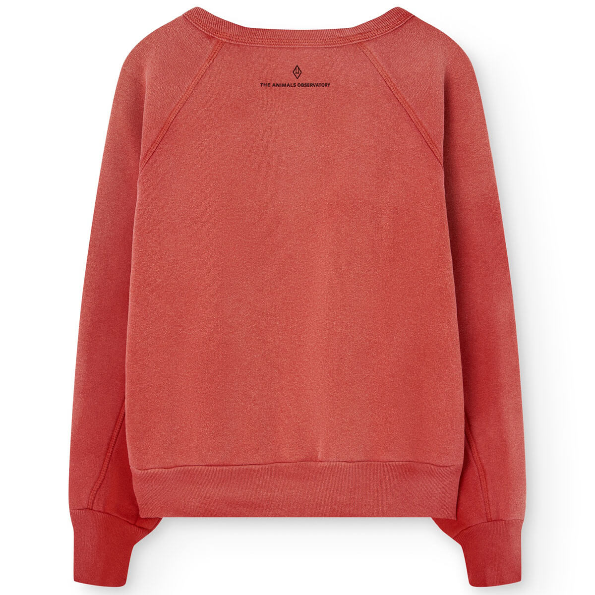 Shark Warm Kid Sweatshirt in Red by The Animals Observatory
