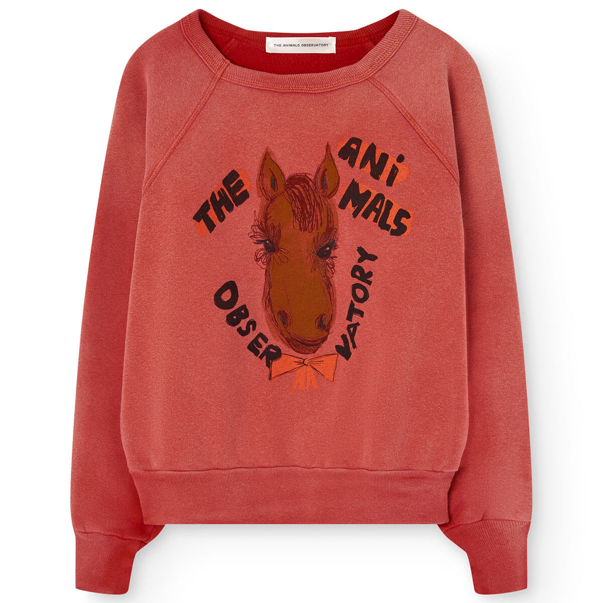 Shark Warm Kid Sweatshirt in Red by The Animals Observatory