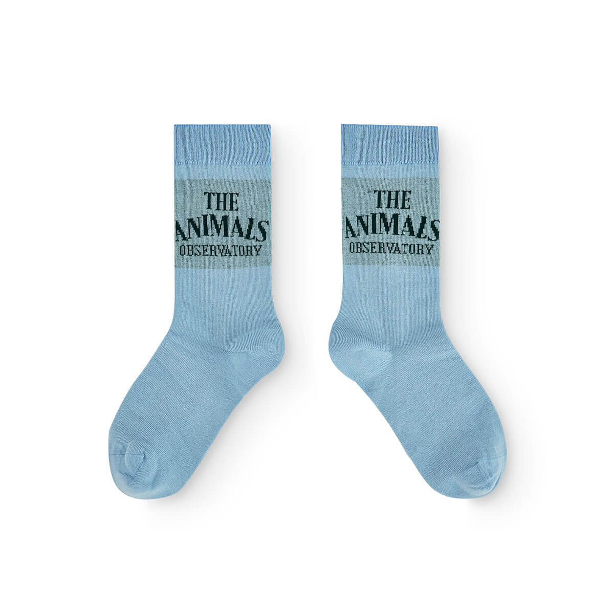Snail Kid Socks in Dusty Blue by The Animals Observatory