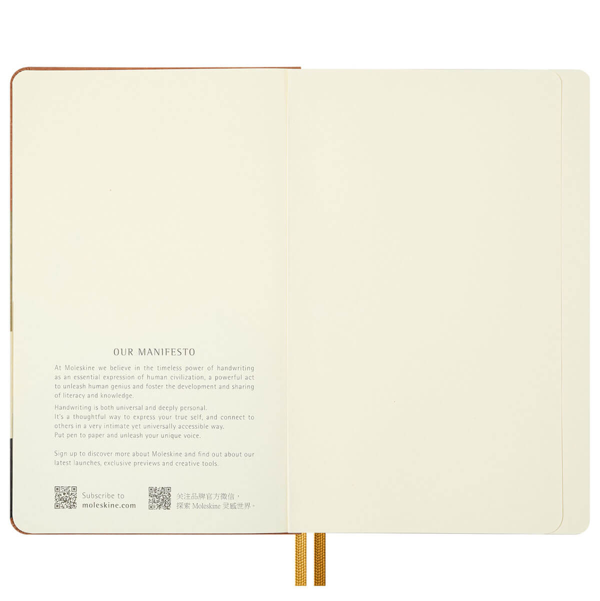 The Lord of the Rings Limited Edition Frodo & Sam Large Plain Notebook by Moleskine