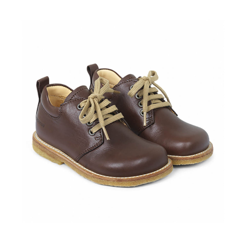Wide Fit Lace Up Shoe in Angulus Brown by Angulus