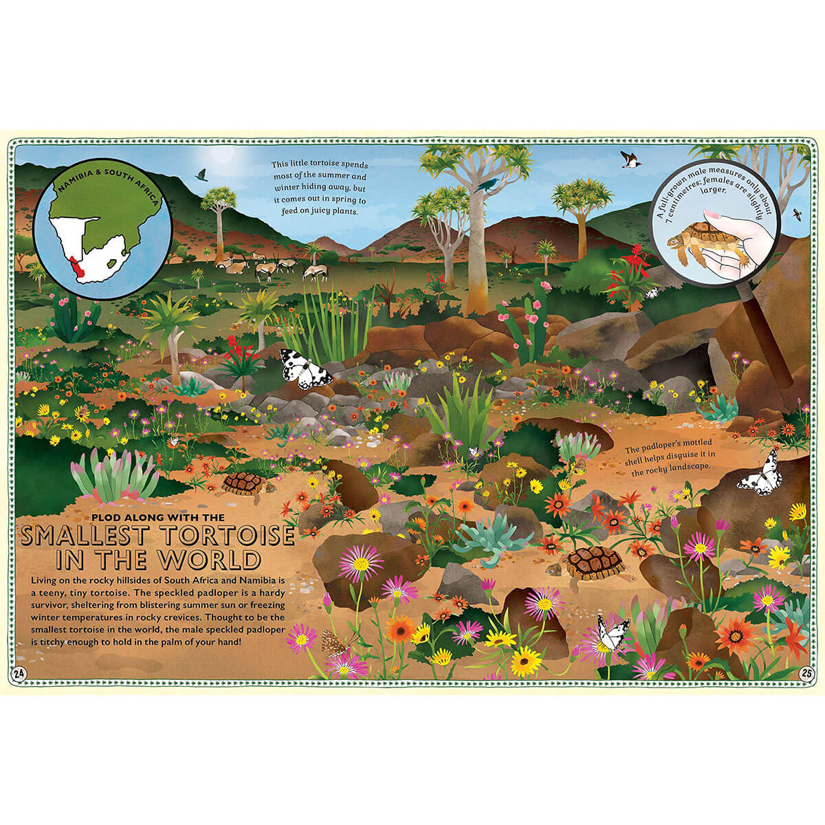 Atlas Of Miniature Adventures by Emily Hawkins & Lucy Letherland