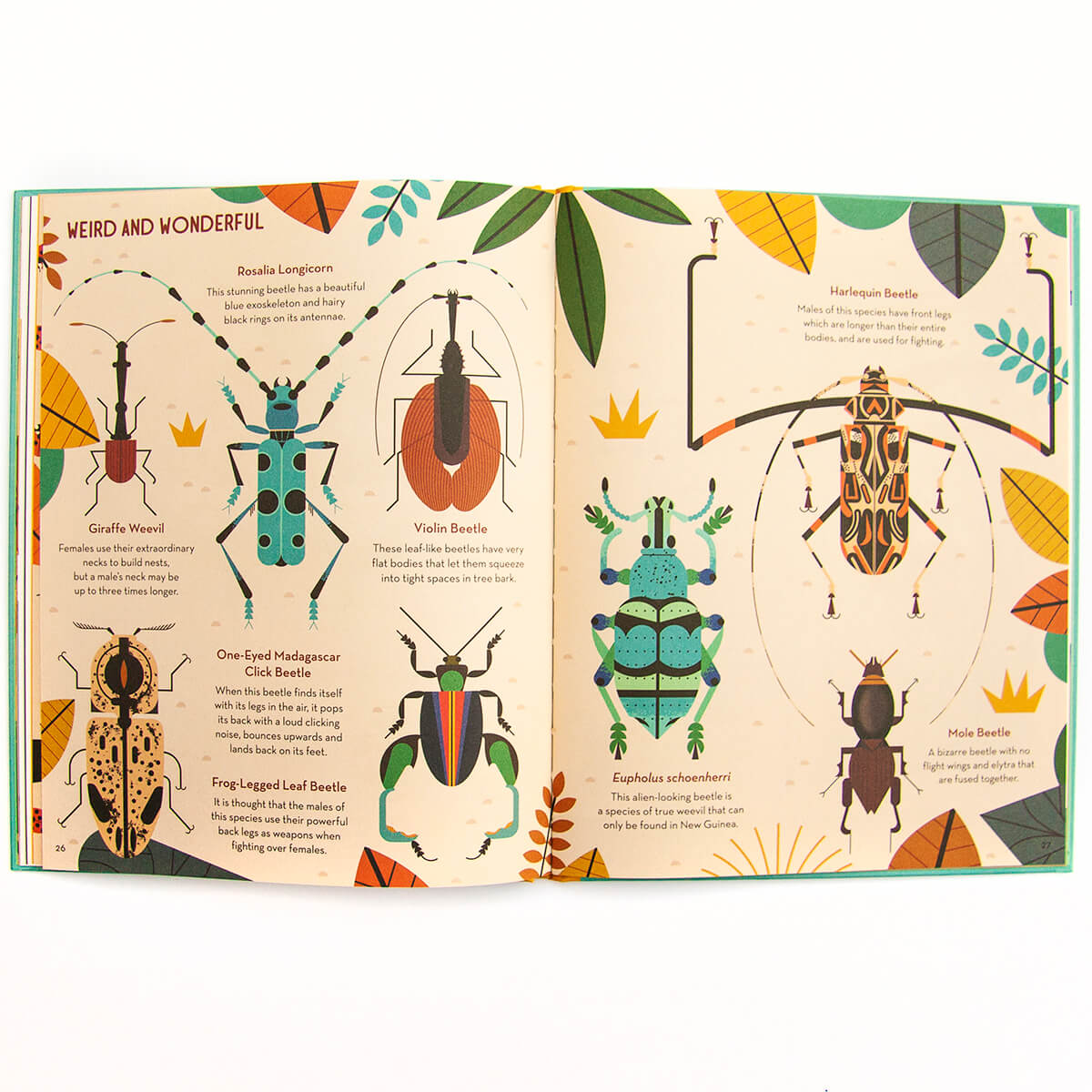 Bonkers About Beetles by Owen Davey