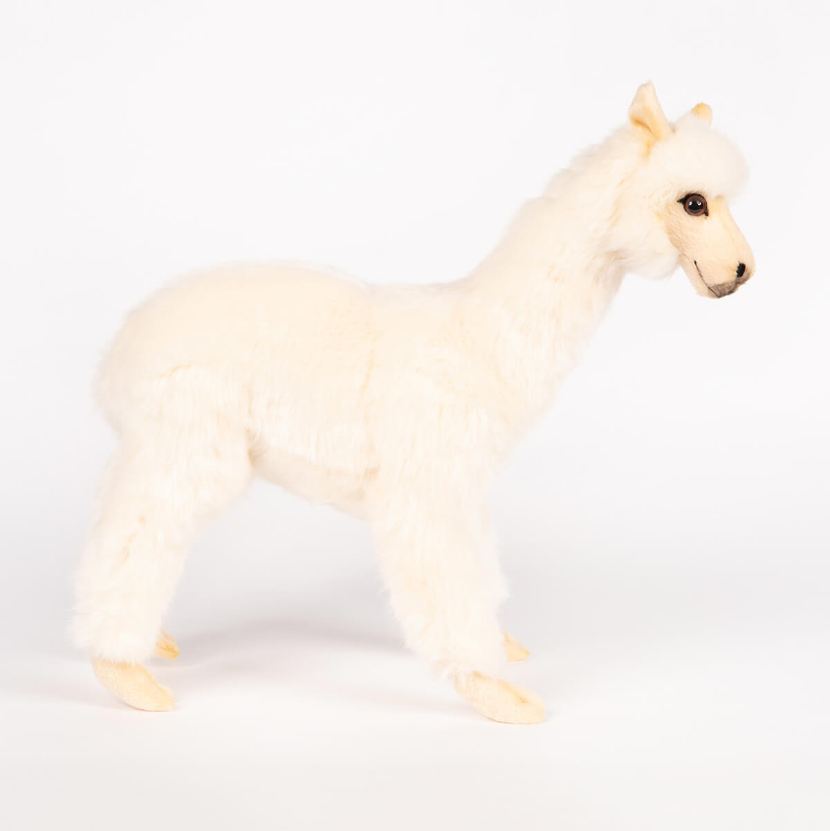 Alpaca by Hansa