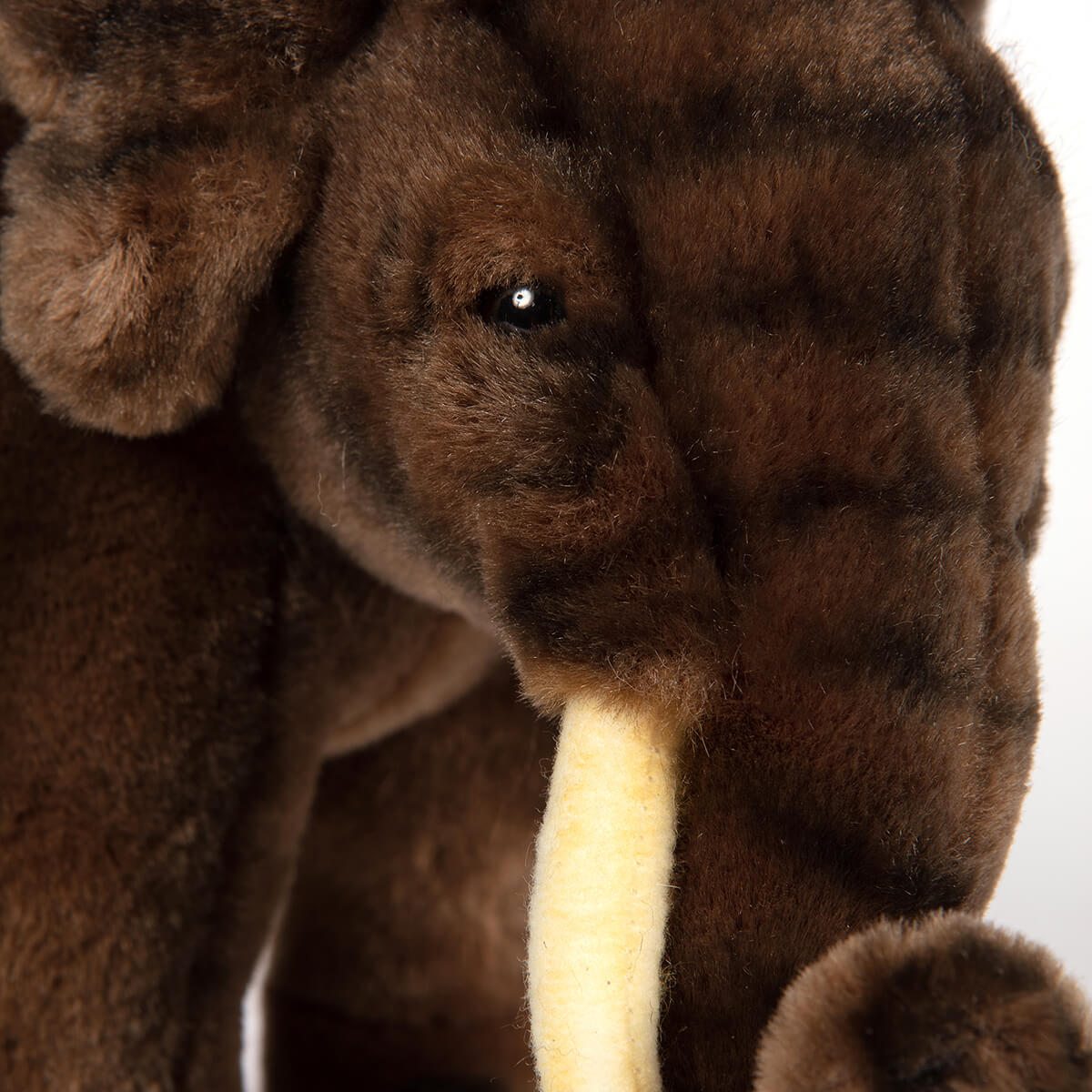 Asian Elephant by Hansa