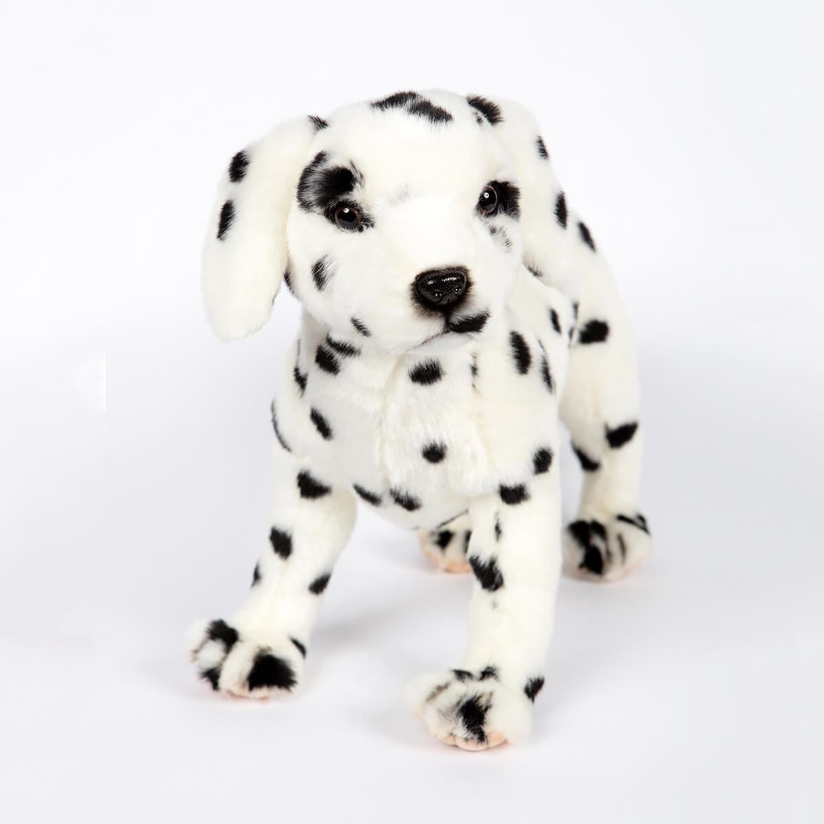 Dalmatian by Hansa