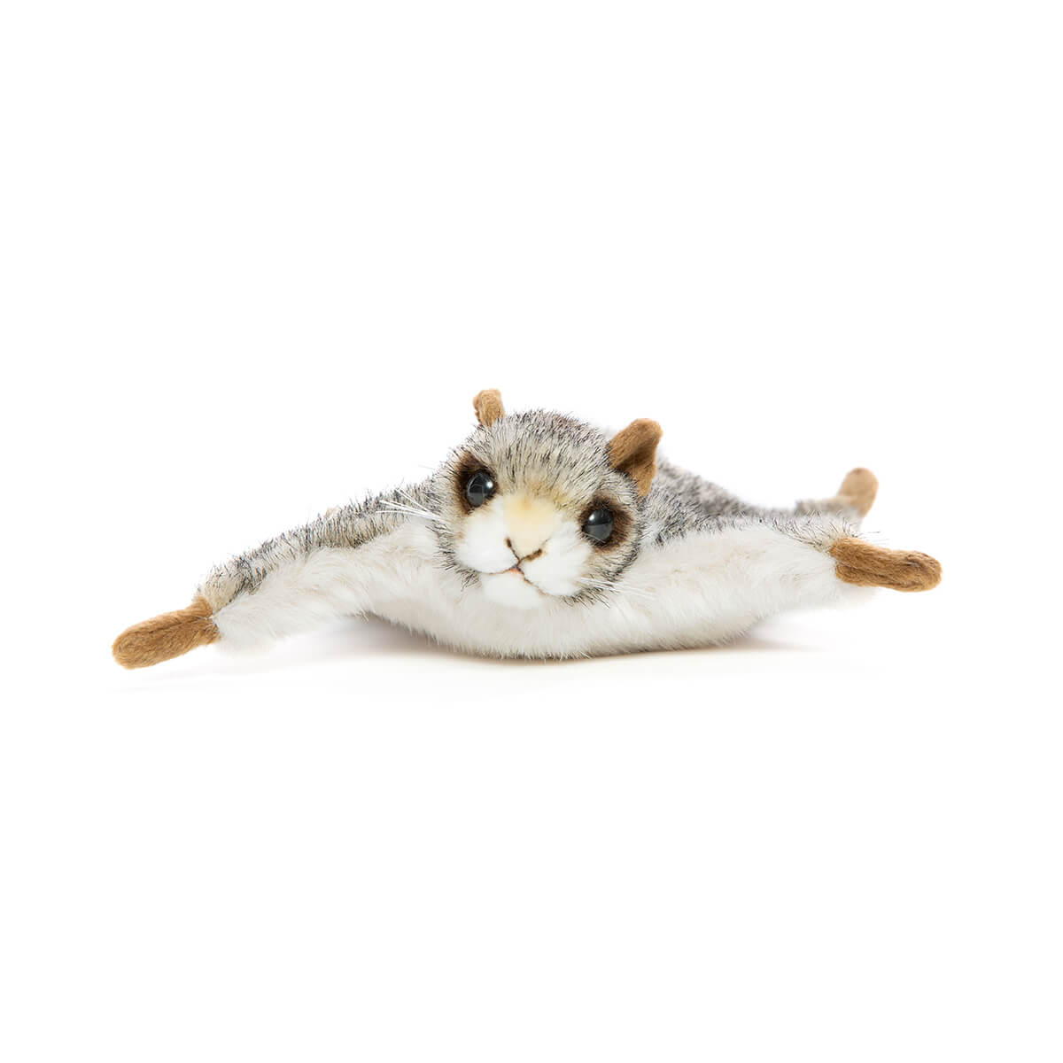 Flying Squirrel by Hansa