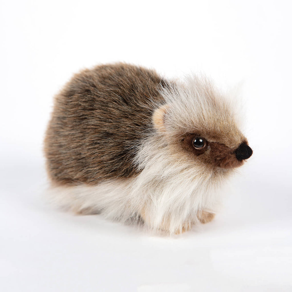 Hedgehog by Hansa
