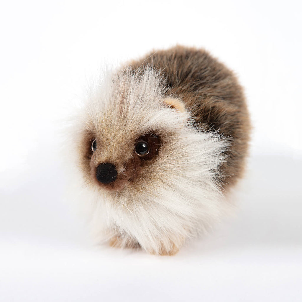 Hedgehog by Hansa