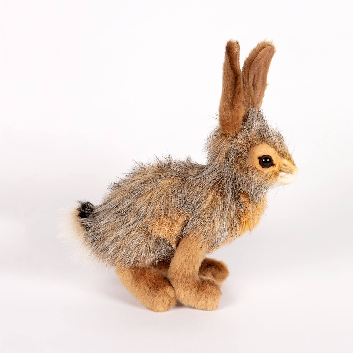 Jack Rabbit by Hansa