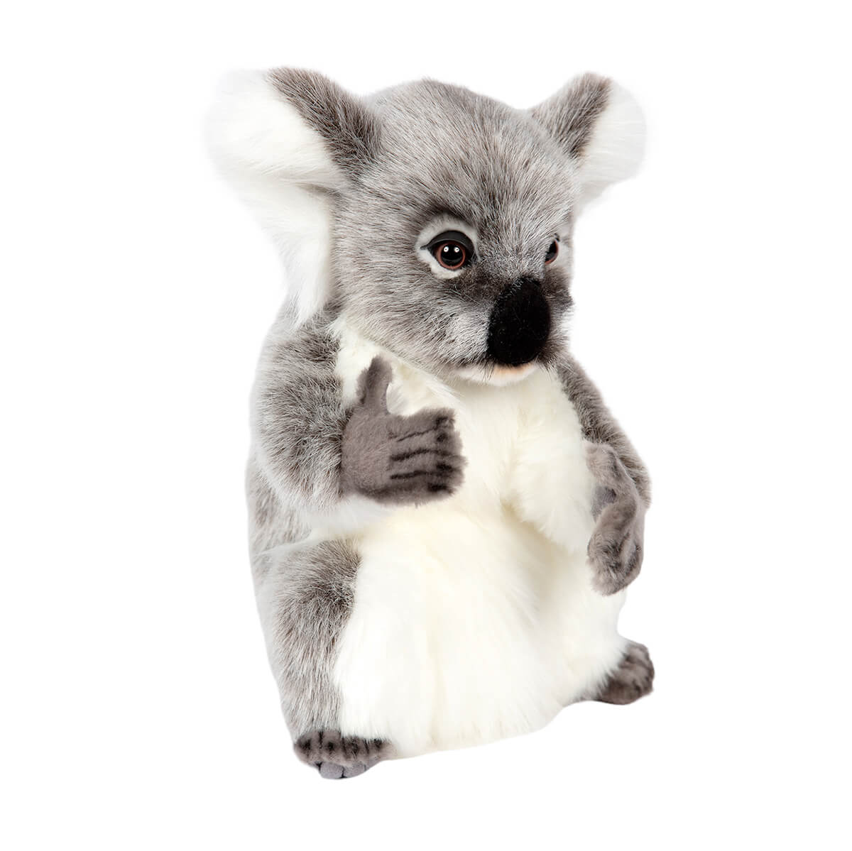 Koala by Hansa