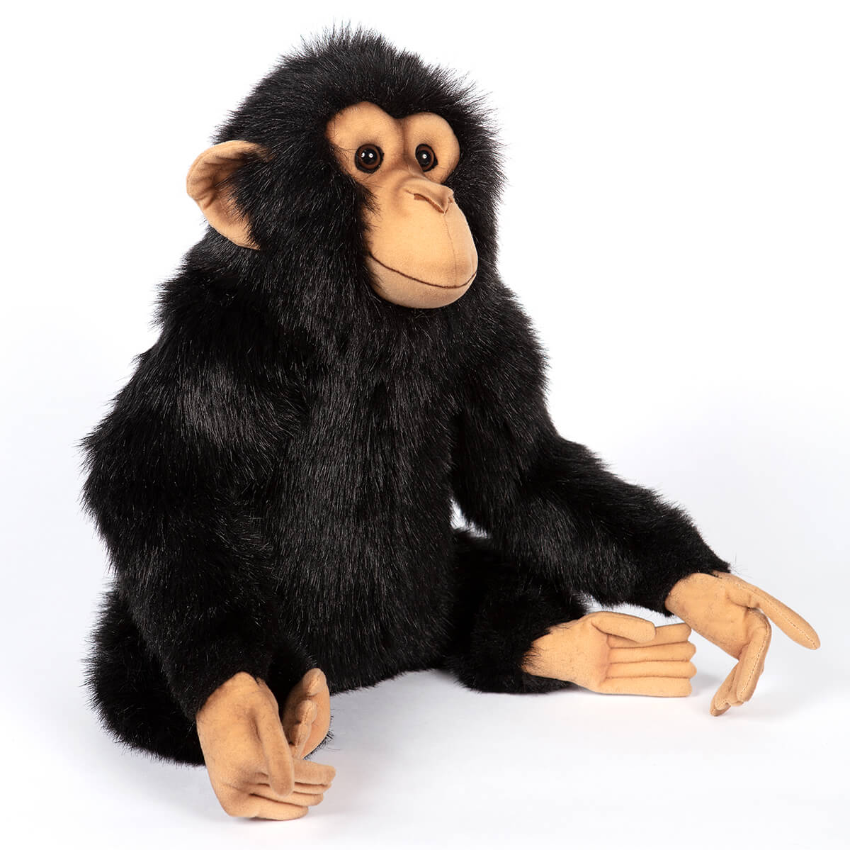 Large Chimp by Hansa