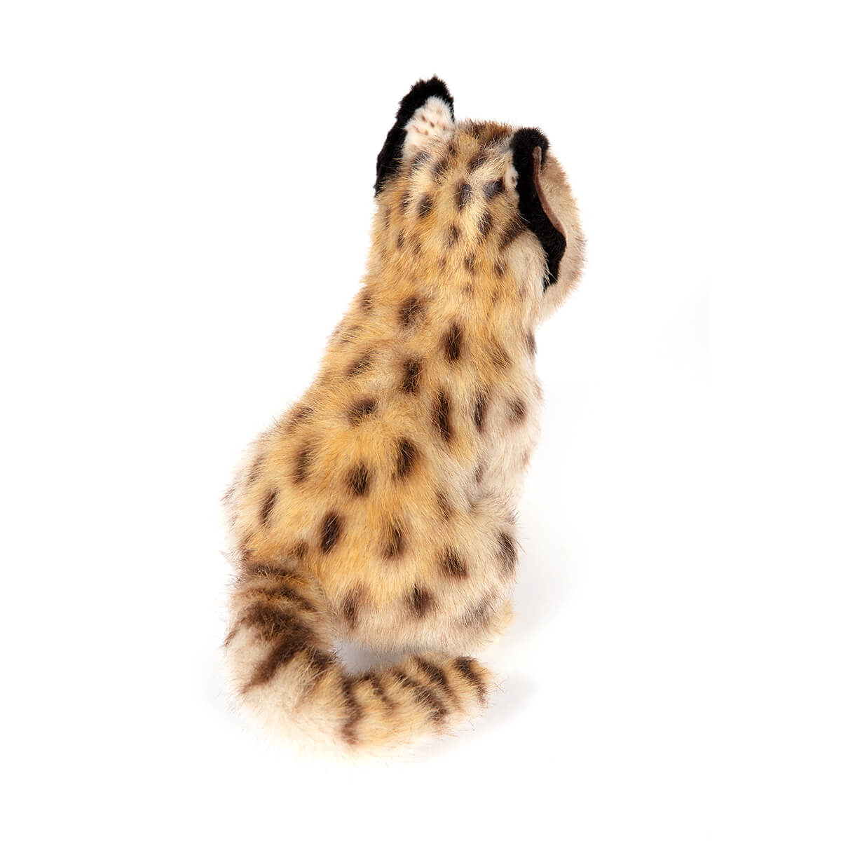 Leopard Cub Shihu by Hansa