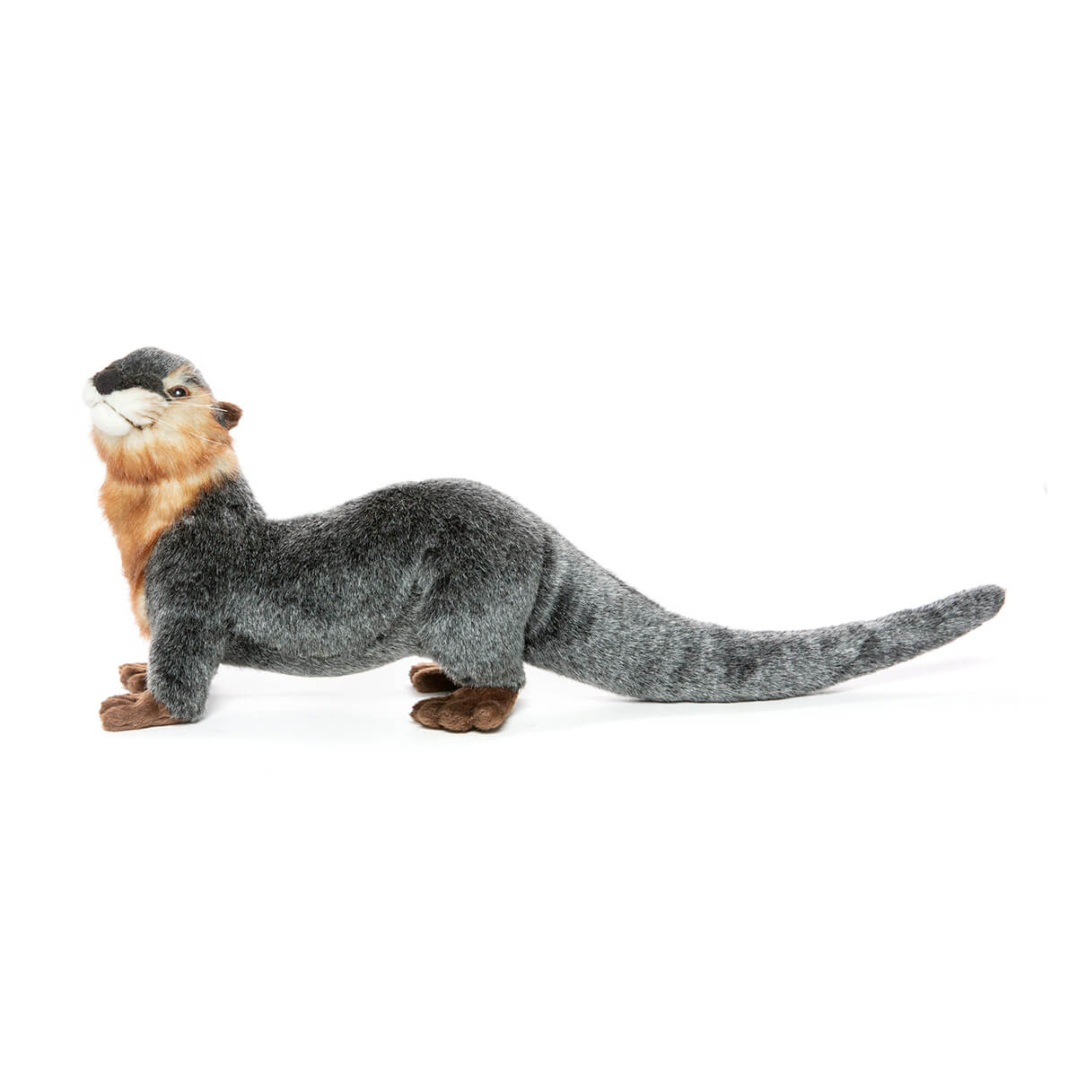 River Otter by Hansa