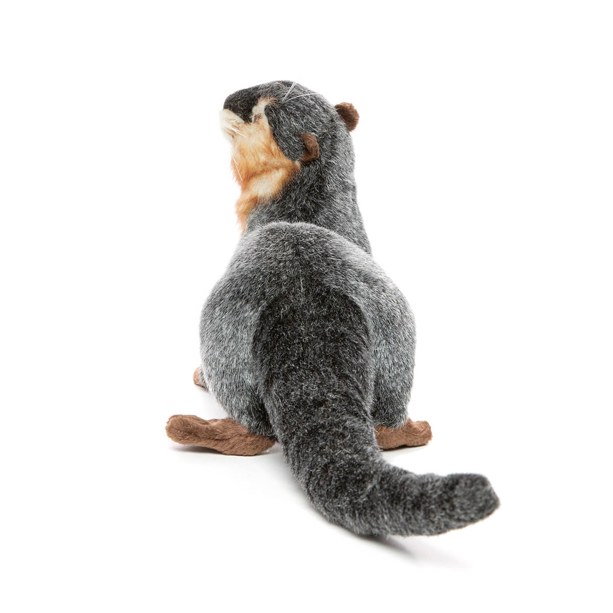 River Otter by Hansa