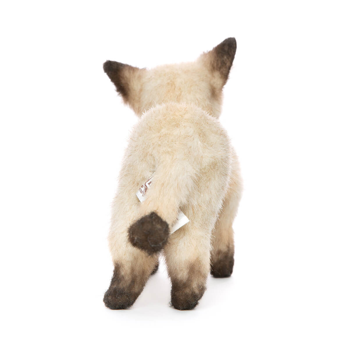 Siamese Kitten by Hansa