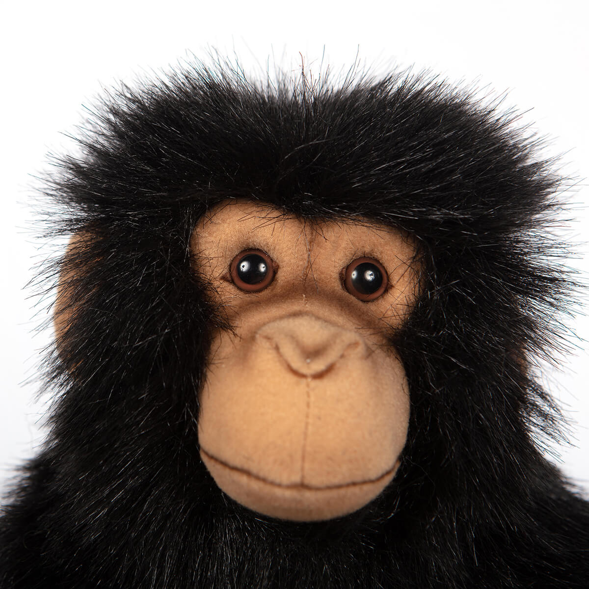 Small Chimp by Hansa