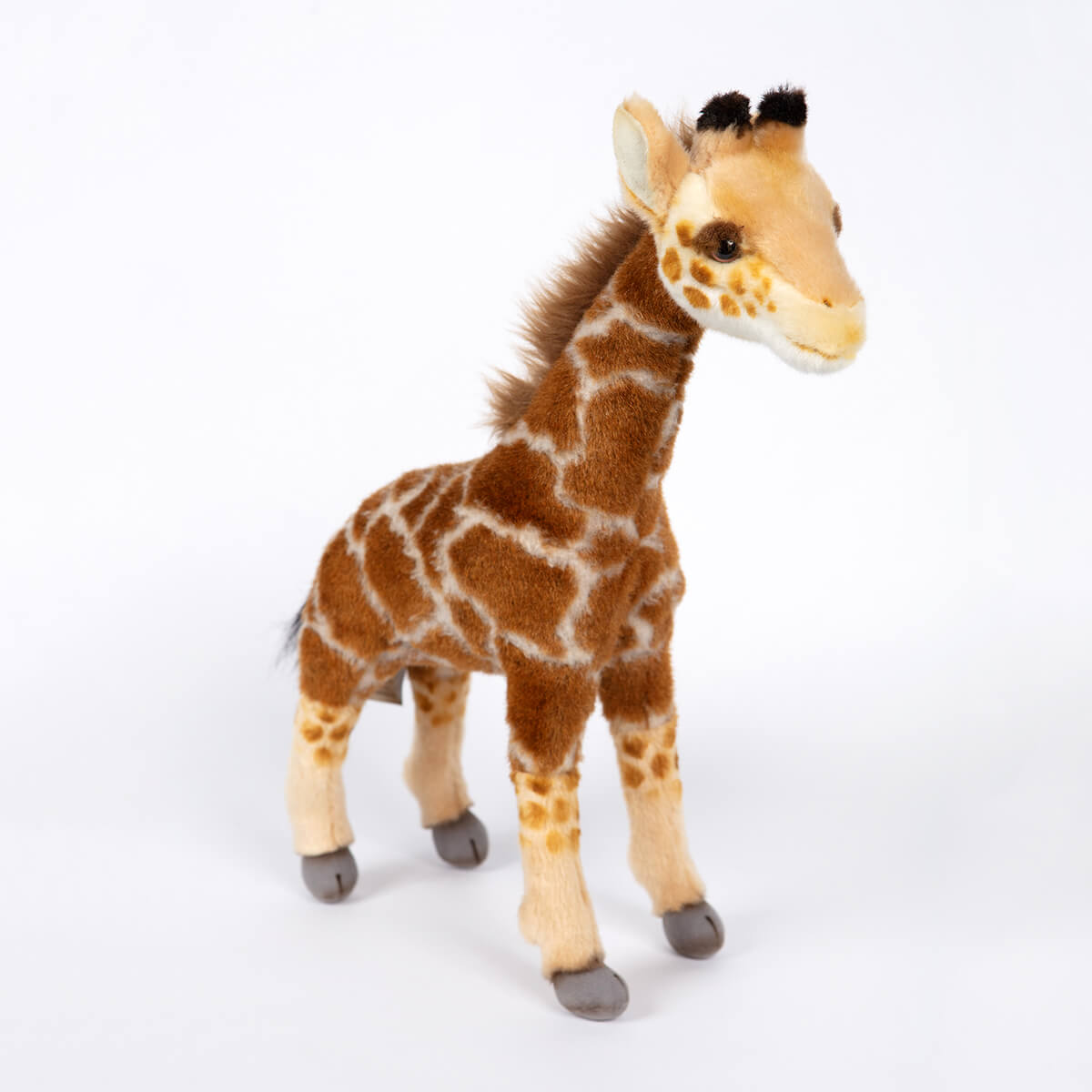 Small Giraffe by Hansa