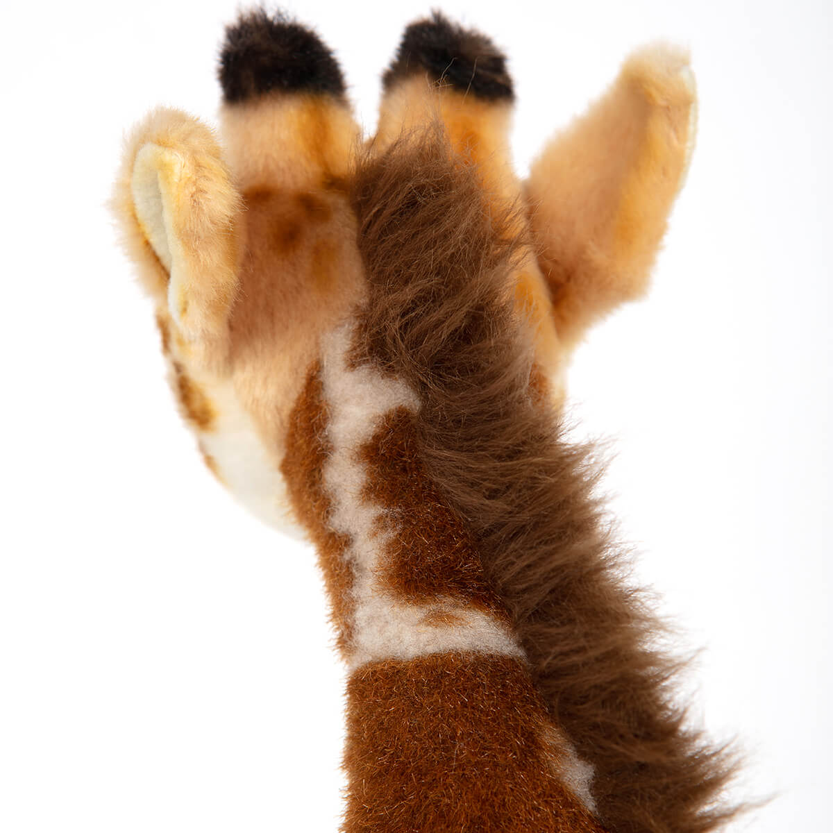 Small Giraffe by Hansa