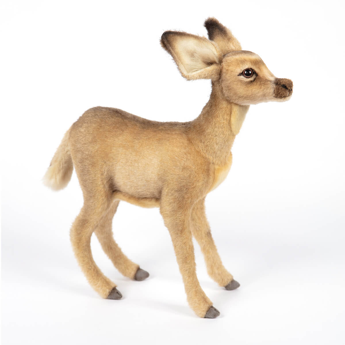 Standing Fawn by Hansa