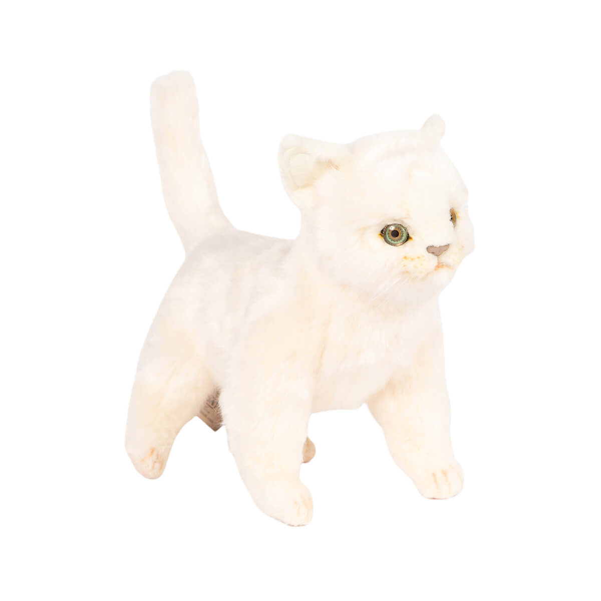 Standing Kitten by Hansa