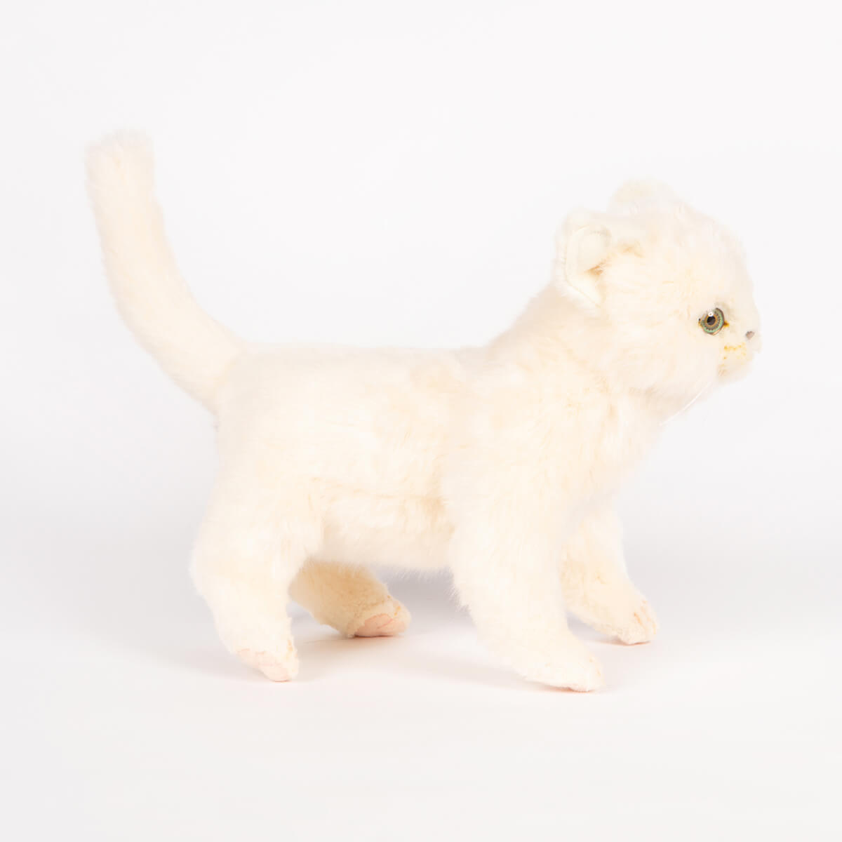 Standing Kitten by Hansa