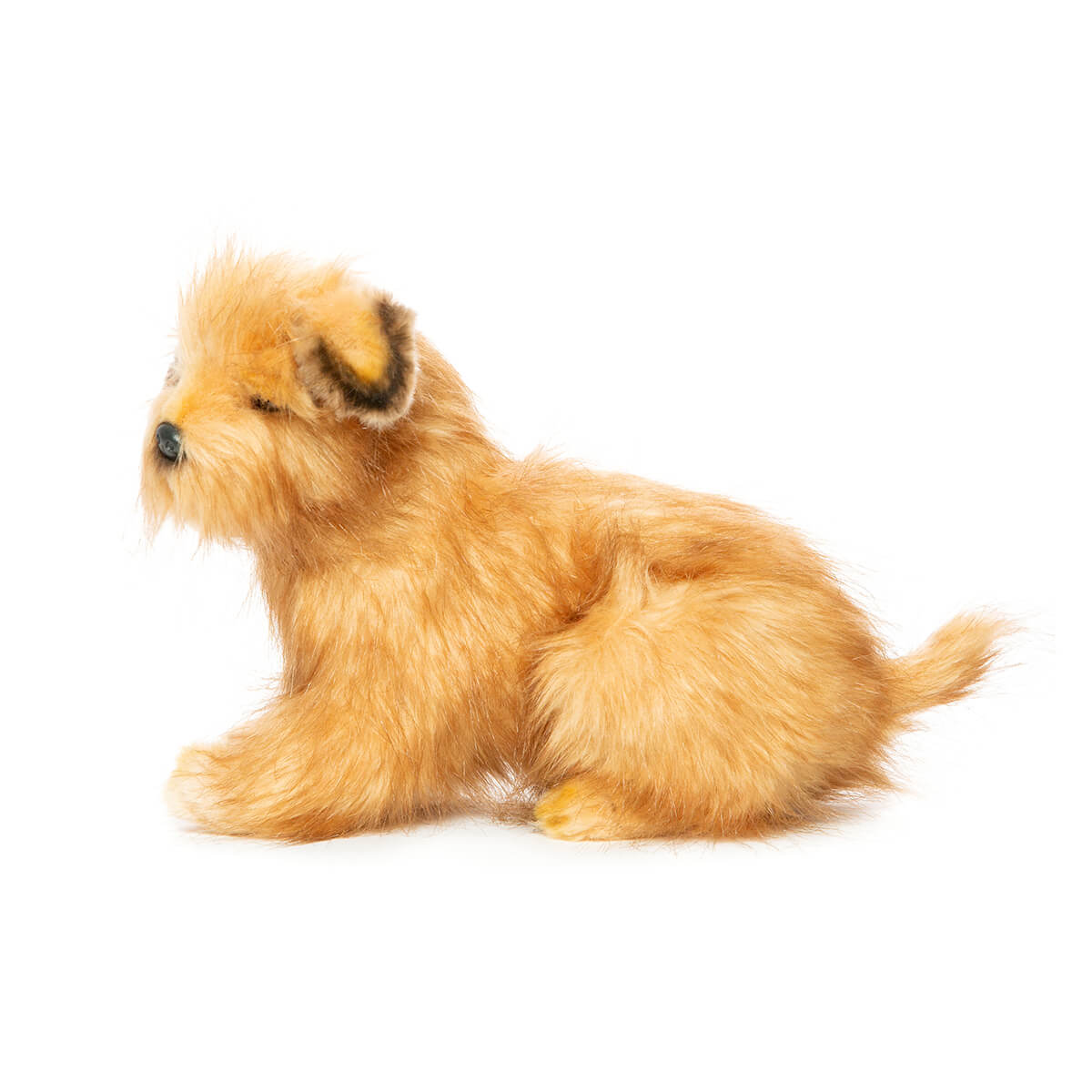 Norfolk Terrier (32cm) by Hansa
