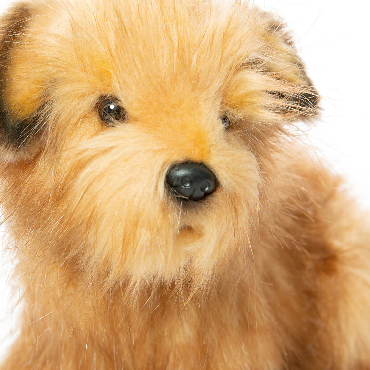 Norfolk Terrier (32cm) by Hansa