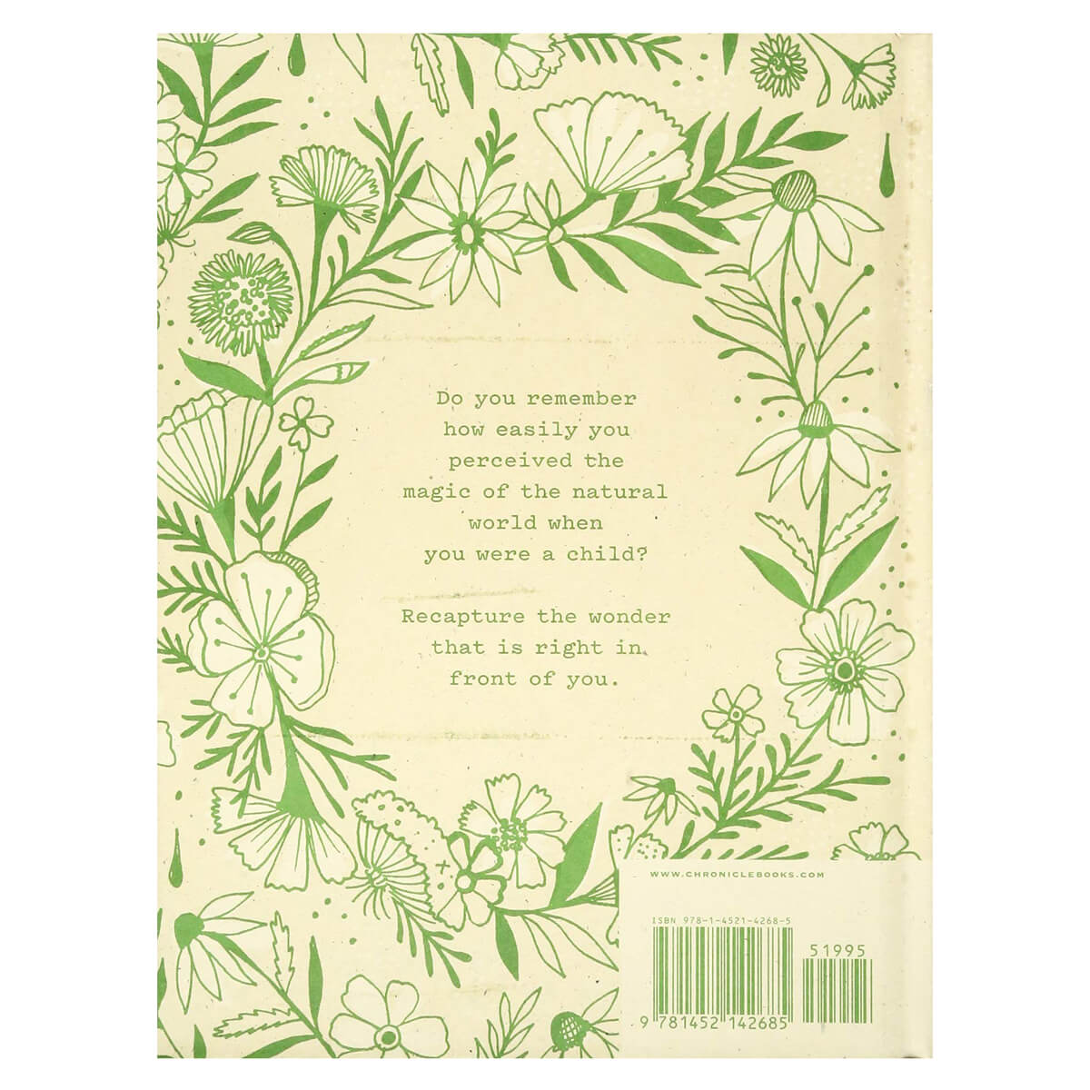 How to Be a Wildflower: A Field Guide by Katie Daisy