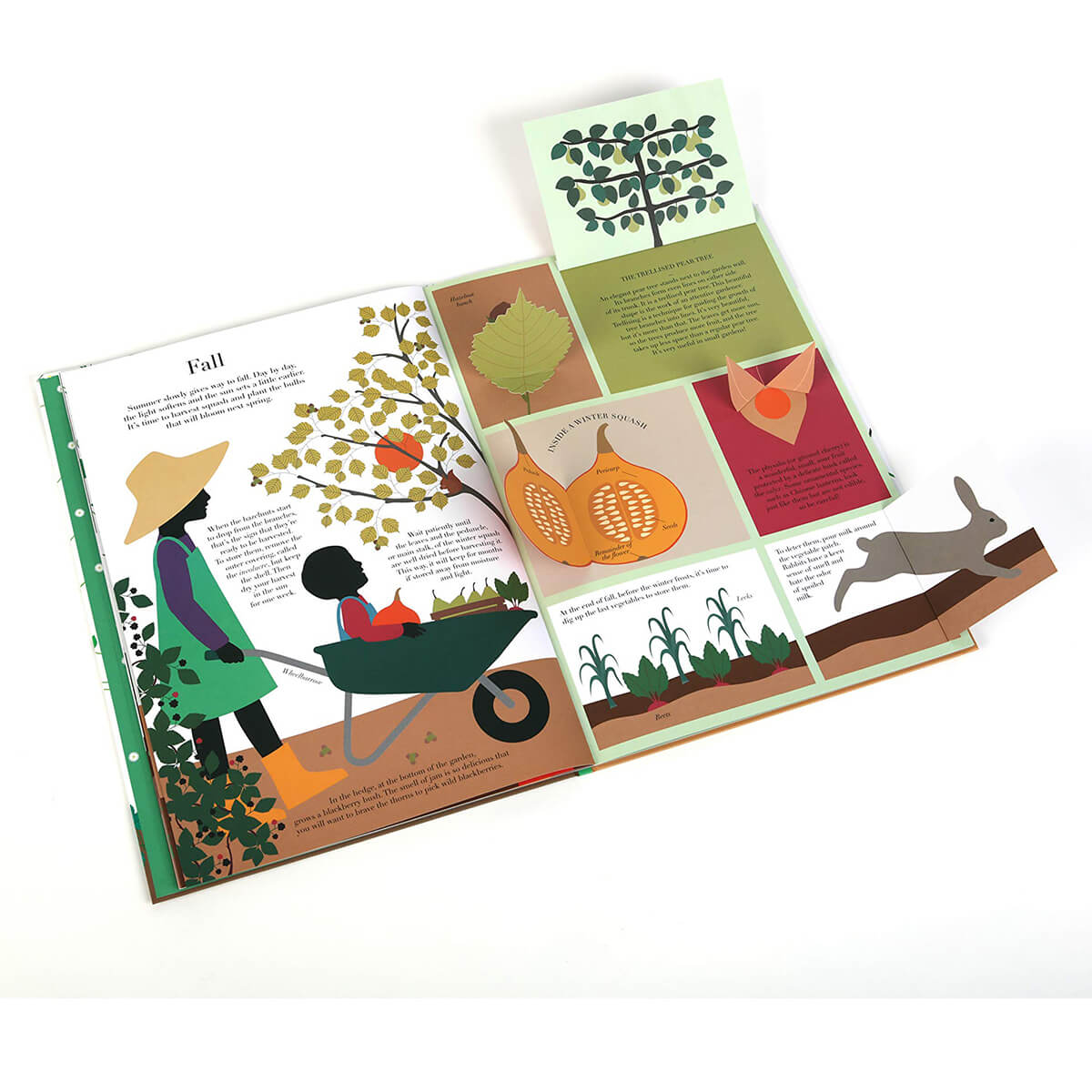 In the Garden by Emma Guiliani