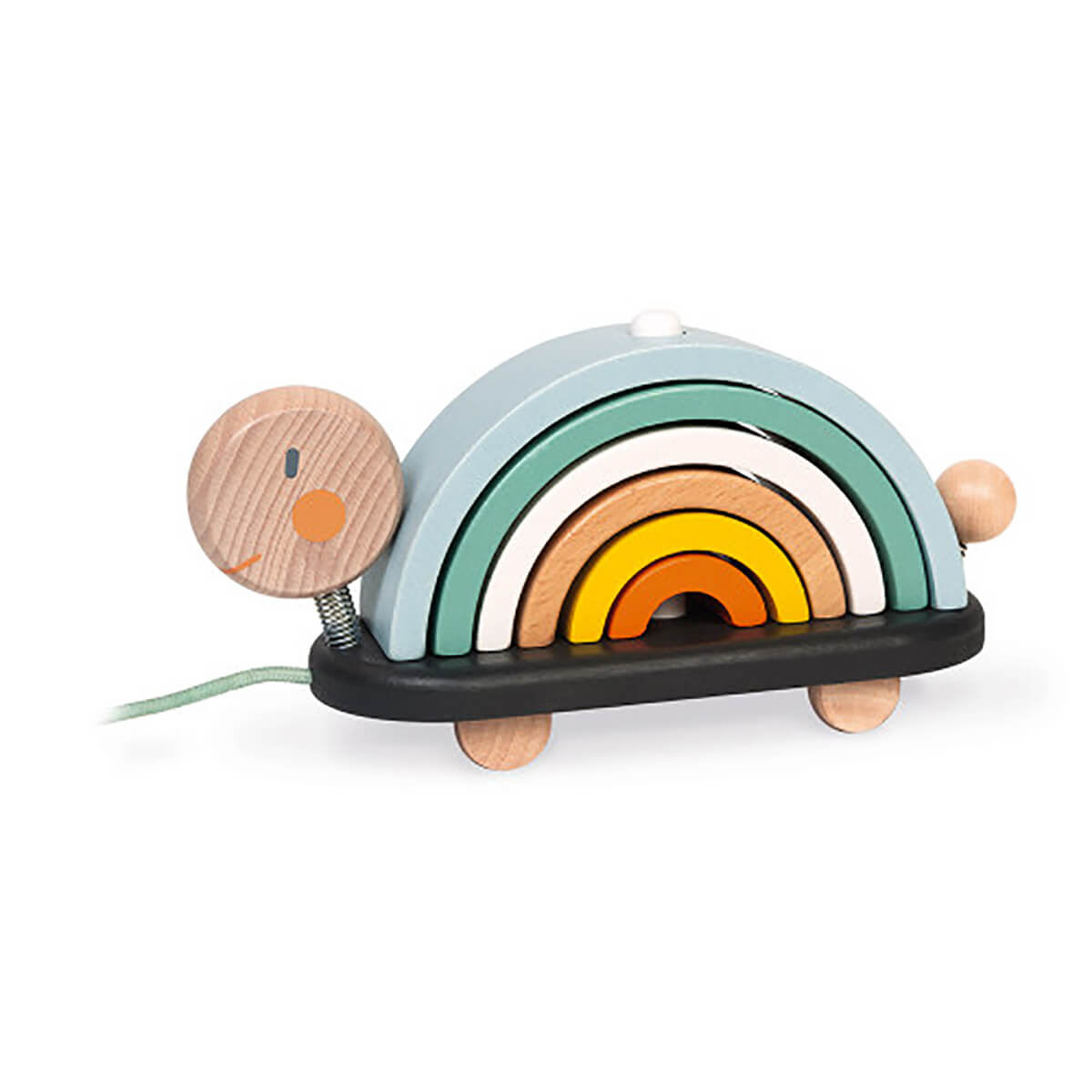 Sweet Cocoon Rainbow Turtle by Janod