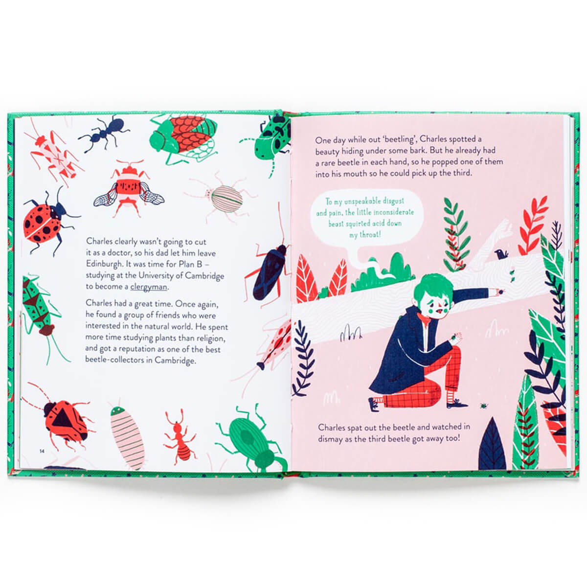 Little Guides To Great Lives: Charles Darwin by Isabel Thomas & Rachel Katstaller