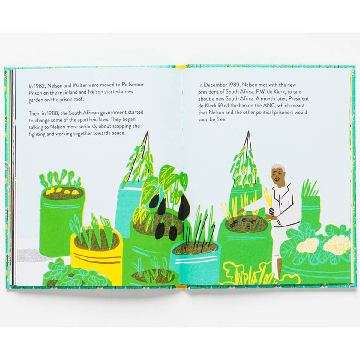 Little Guides To Great Lives: Nelson Mandela by Isabel Thomas & Hannah Warren