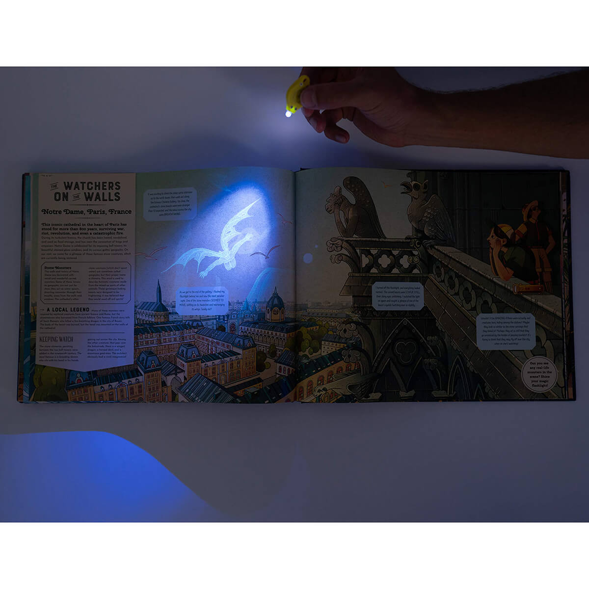 Magical Creatures and Mythical Beasts (With Magic Torch) by Professor and Millie Mortimer & Victo Ngai