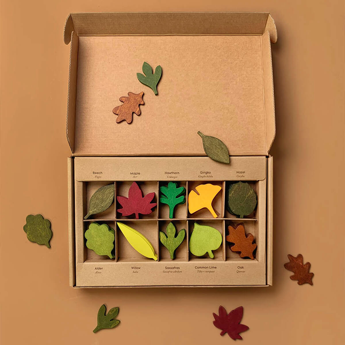 Woodland Leaves by Moon Picnic