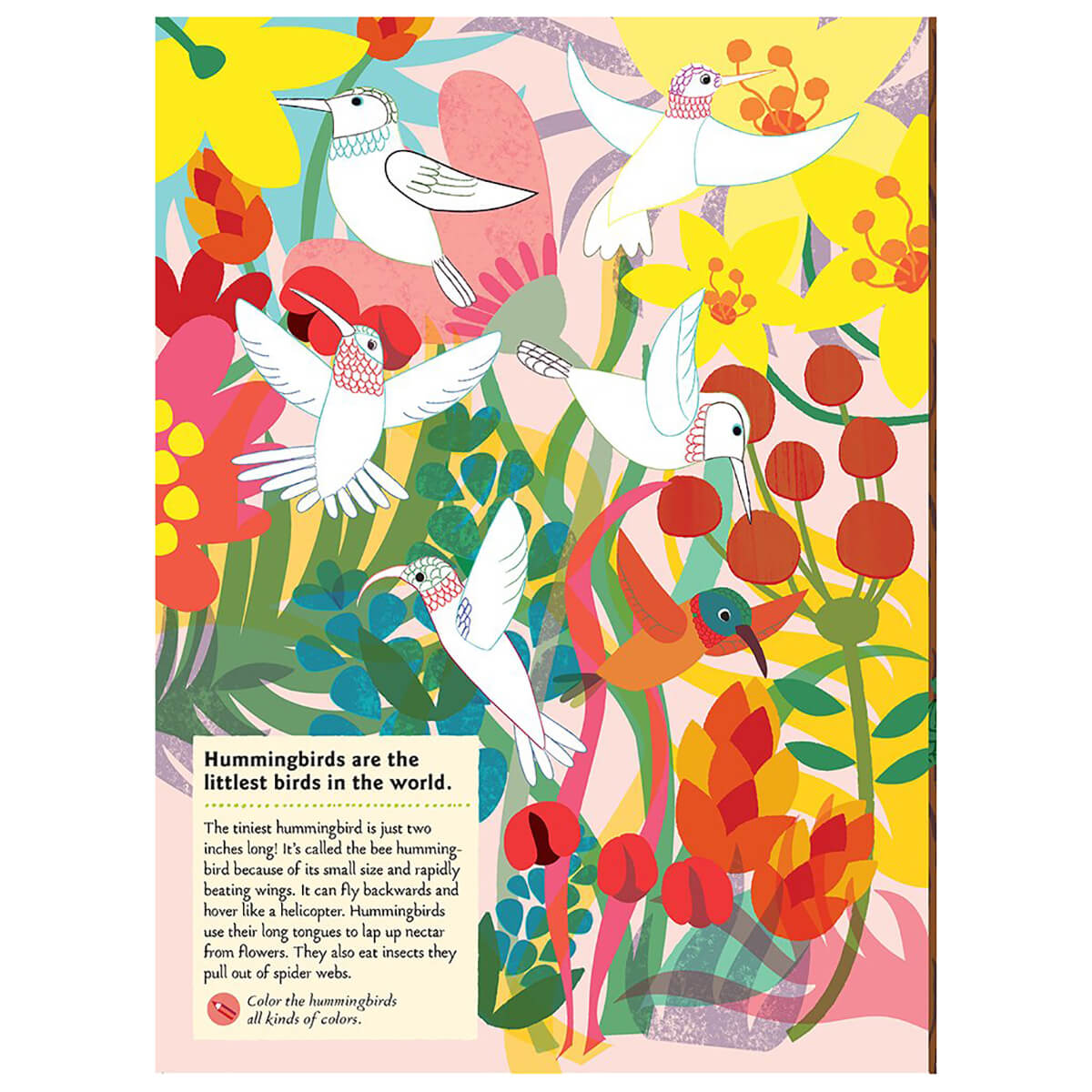 My Nature Sticker Activity Book: Birds of the World by Olivia Cosneau