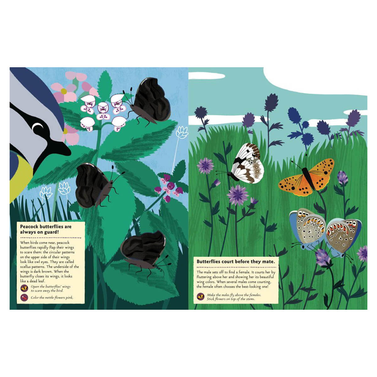My Nature Sticker Activity Book: Butterflies of the World by Olivia Cosneau