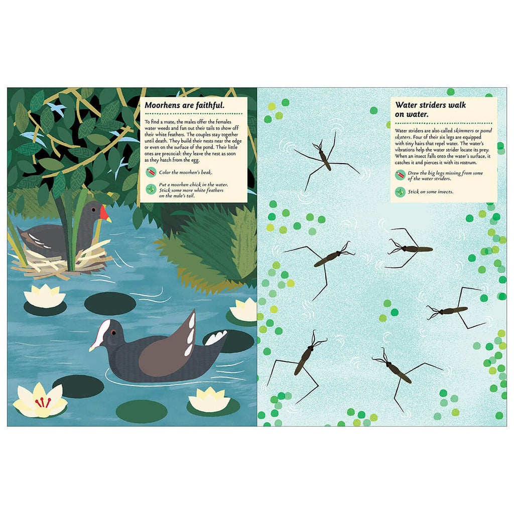 My Nature Sticker Activity Book: Streams and Ponds by Olivia Cosneau